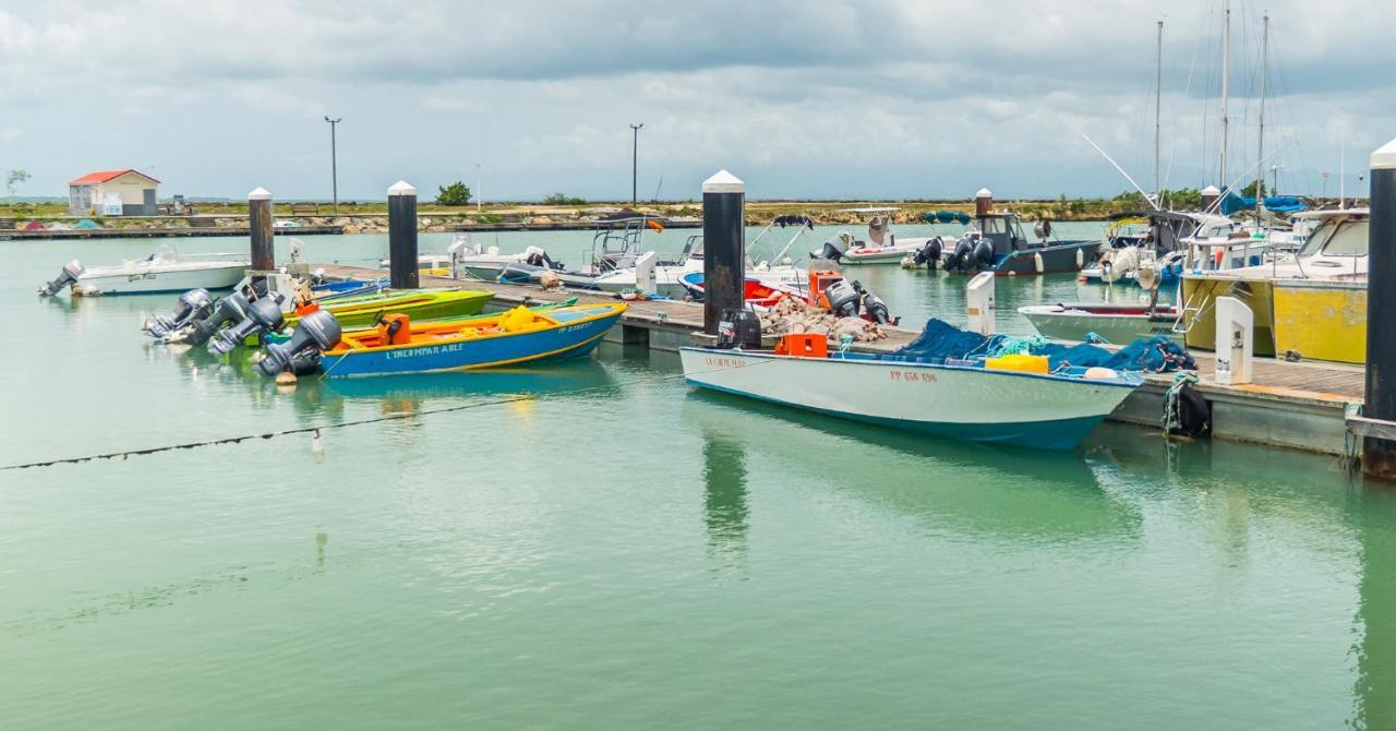 Studio Jacuzzis Et Piscine Au Centre Ville De Port-Louis Zewnętrze zdjęcie